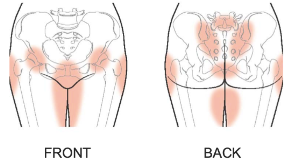 Groin Pain: The Low Back, Hips, and Pelvic Floor: Quince Orchard